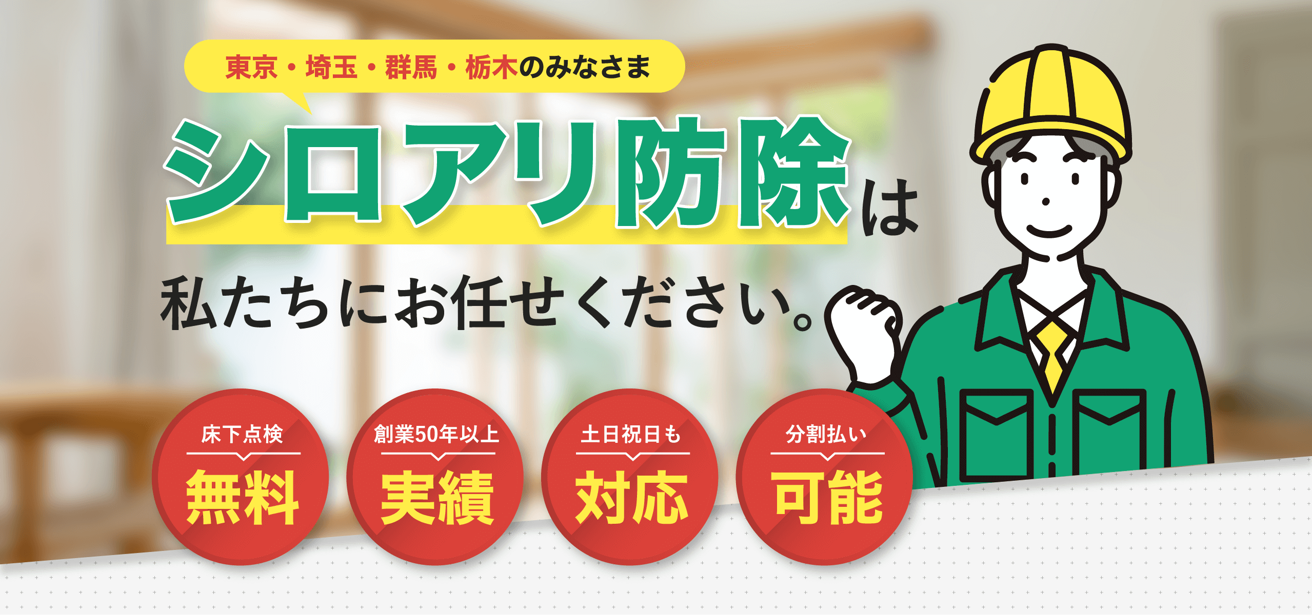 東京・埼玉・群馬・栃木のみなさまシロアリ防除は私たちにお任せください。　床下点検無料、創業50年以上実績、土日祝日も対応、分割払い可能